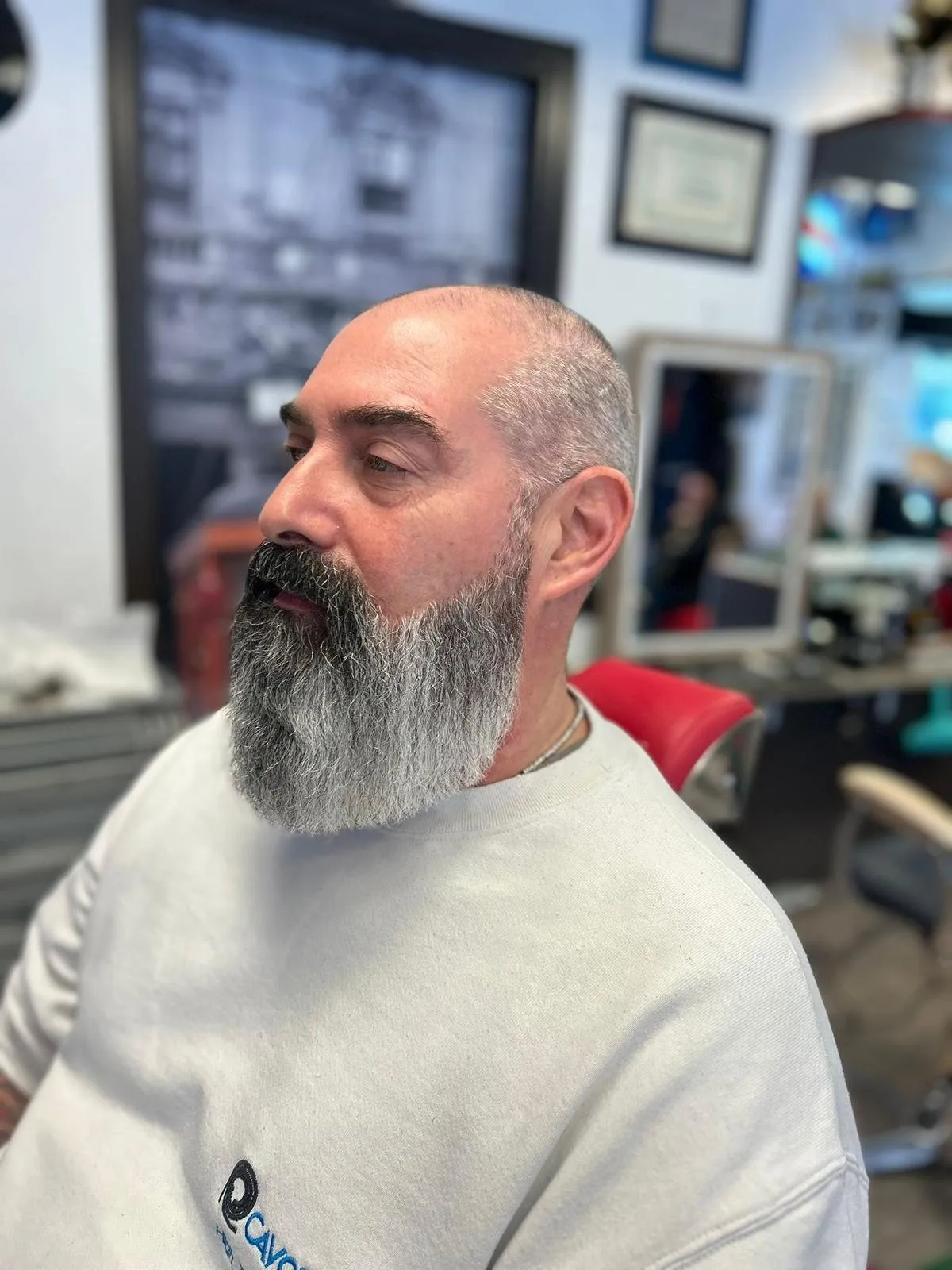 Barba a punta brizzolata, profilo